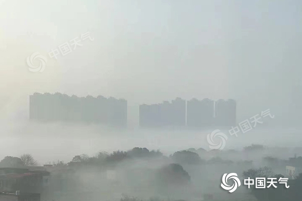 湖南新一轮降水今夜“上线” 雨雾加持扰交通1
