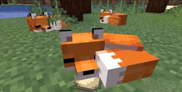 我的世界怎么驯服狐狸