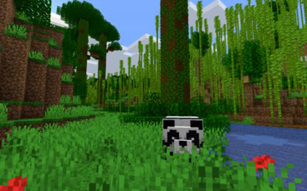 我的世界怎么定位竹林指令