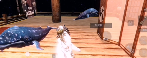 腾影丹怎么获得